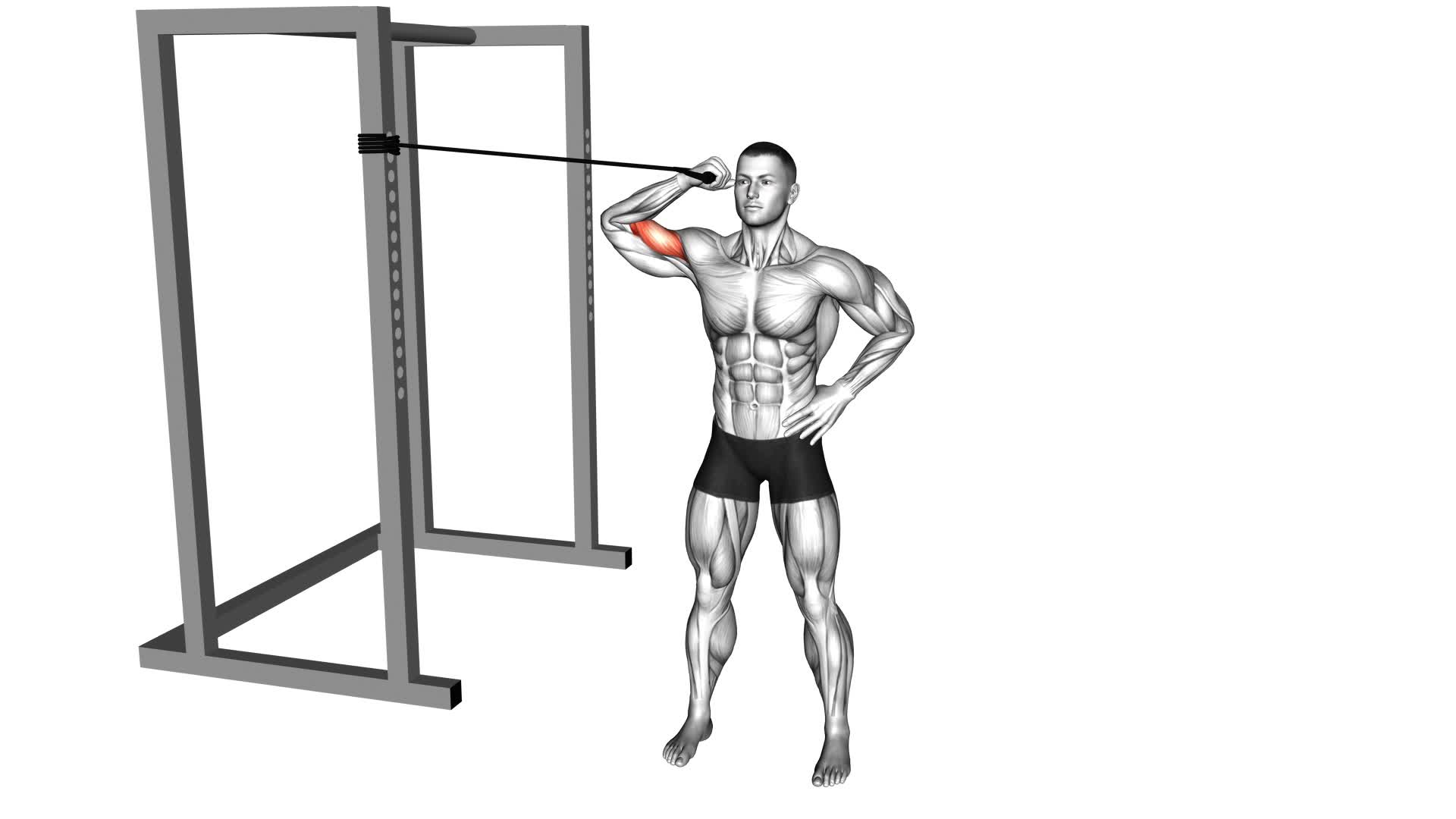 Band One Arm Overhead Biceps Curl - Video Exercise Guide & Tips