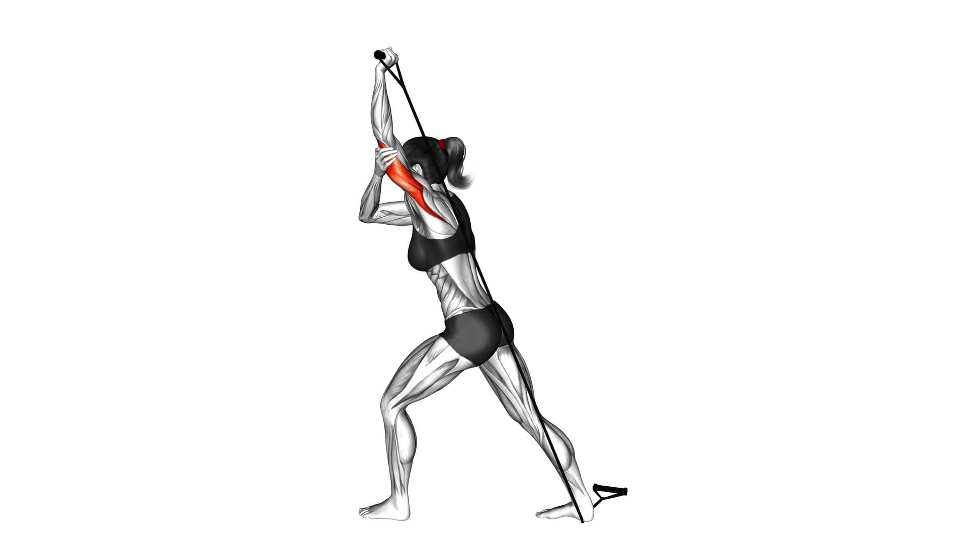 Band Overhead Single Arm Triceps Extension (VERSION 2) (female) - Video Exercise Guide & Tips