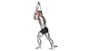Band Overhead Single Arm Triceps Extension (VERSION 2) - Video Exercise Guide & Tips
