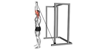 Band Overhead Single Arm Triceps Extension - Video Exercise Guide & Tips