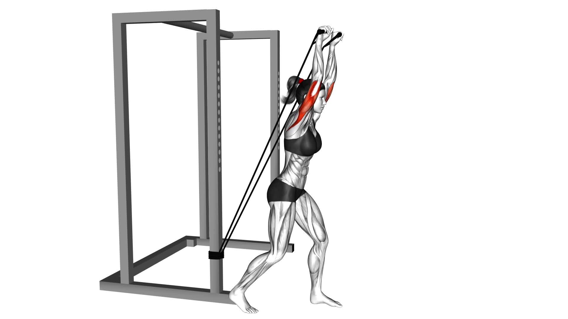 Band Overhead Triceps Extension (Female) - Video Exercise Guide & Tips