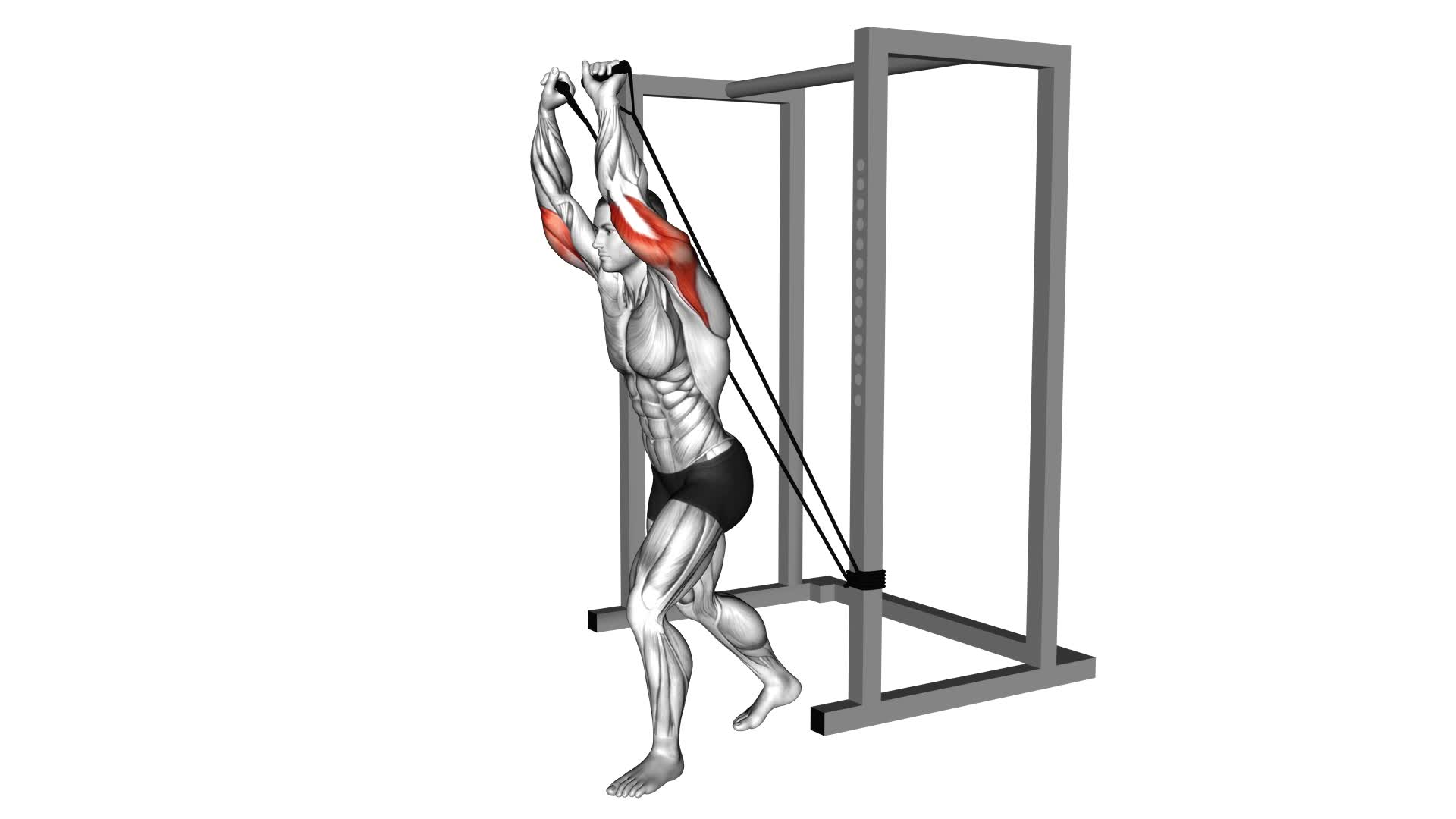 Band Overhead Triceps Extension (Male) - Video Exercise Guide & Tips