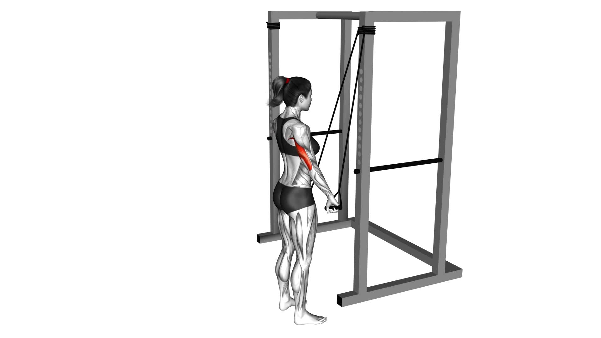 Band Pushdown (Female) - Video Exercise Guide & Tips