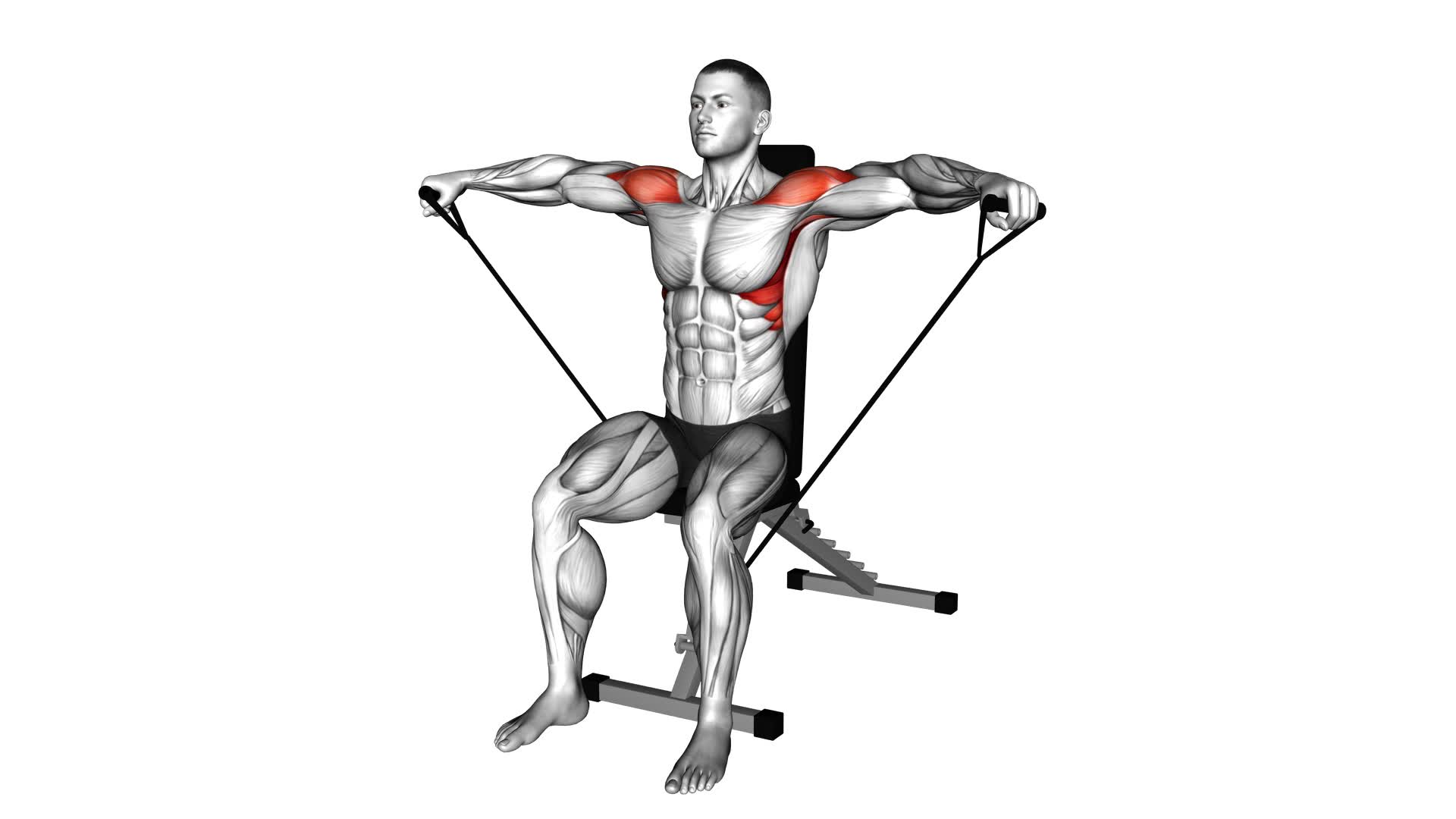Band Seated Lateral Raise - Video Exercise Guide & Tips