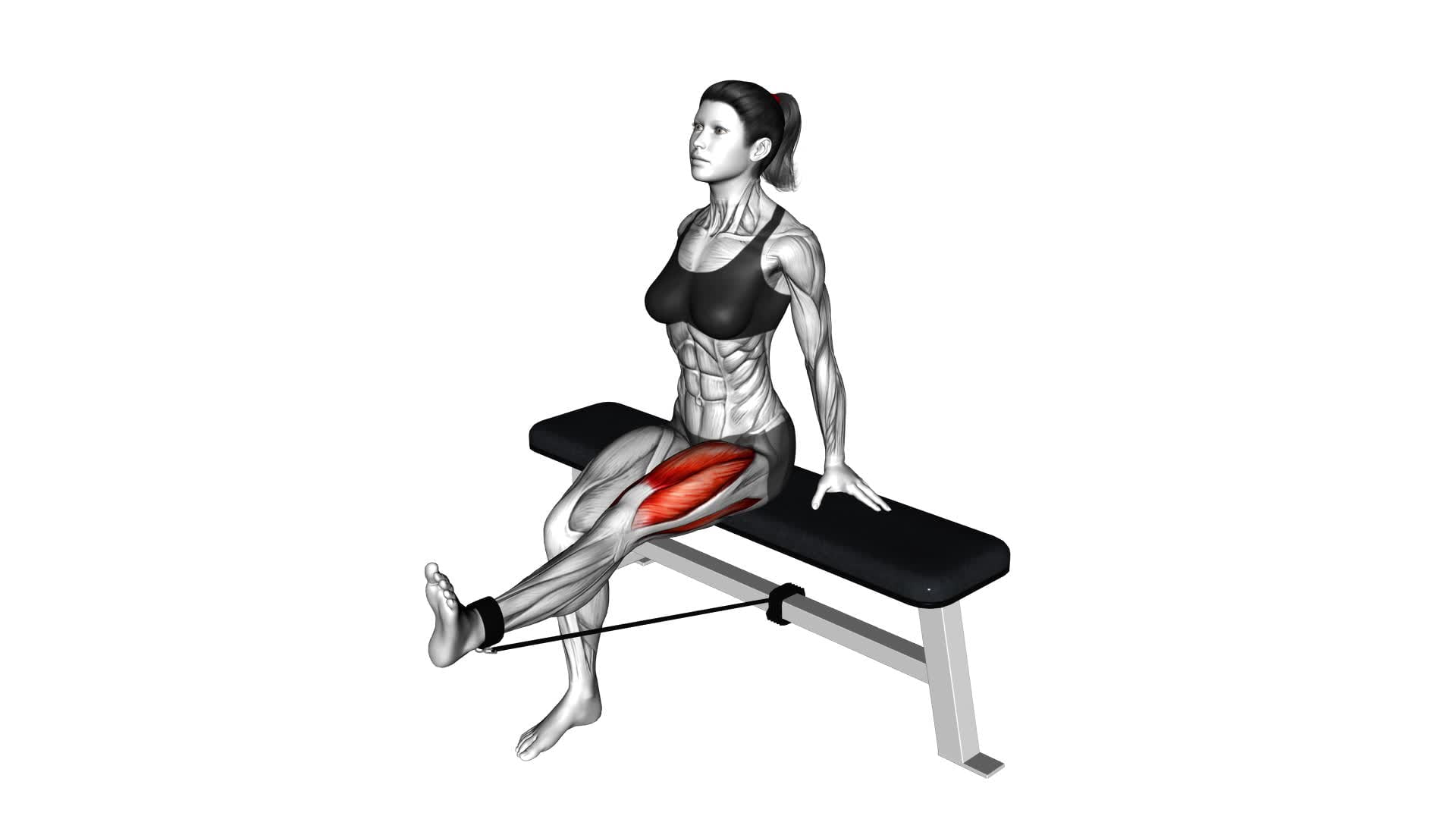 Band Seated Leg Extension (female) - Video Exercise Guide & Tips