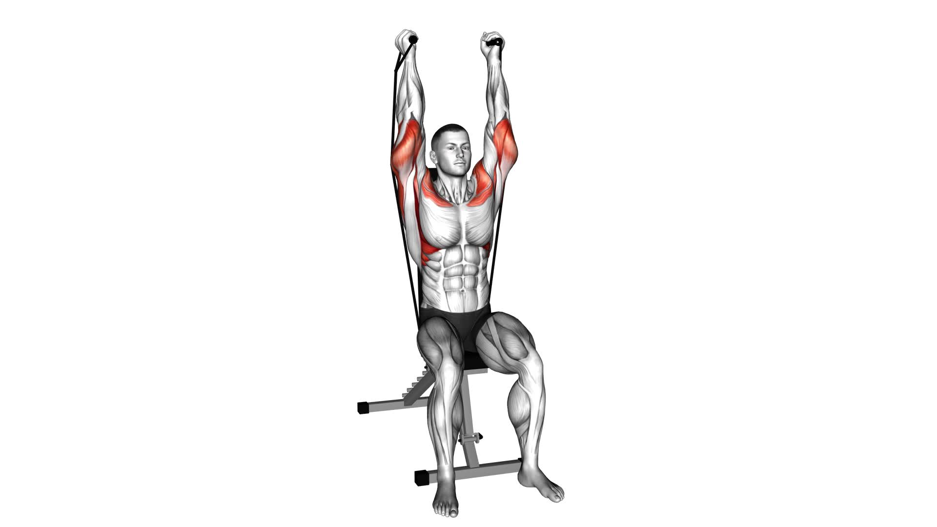 Band Seated Neutral Grip Shoulders Press - Video Exercise Guide & Tips