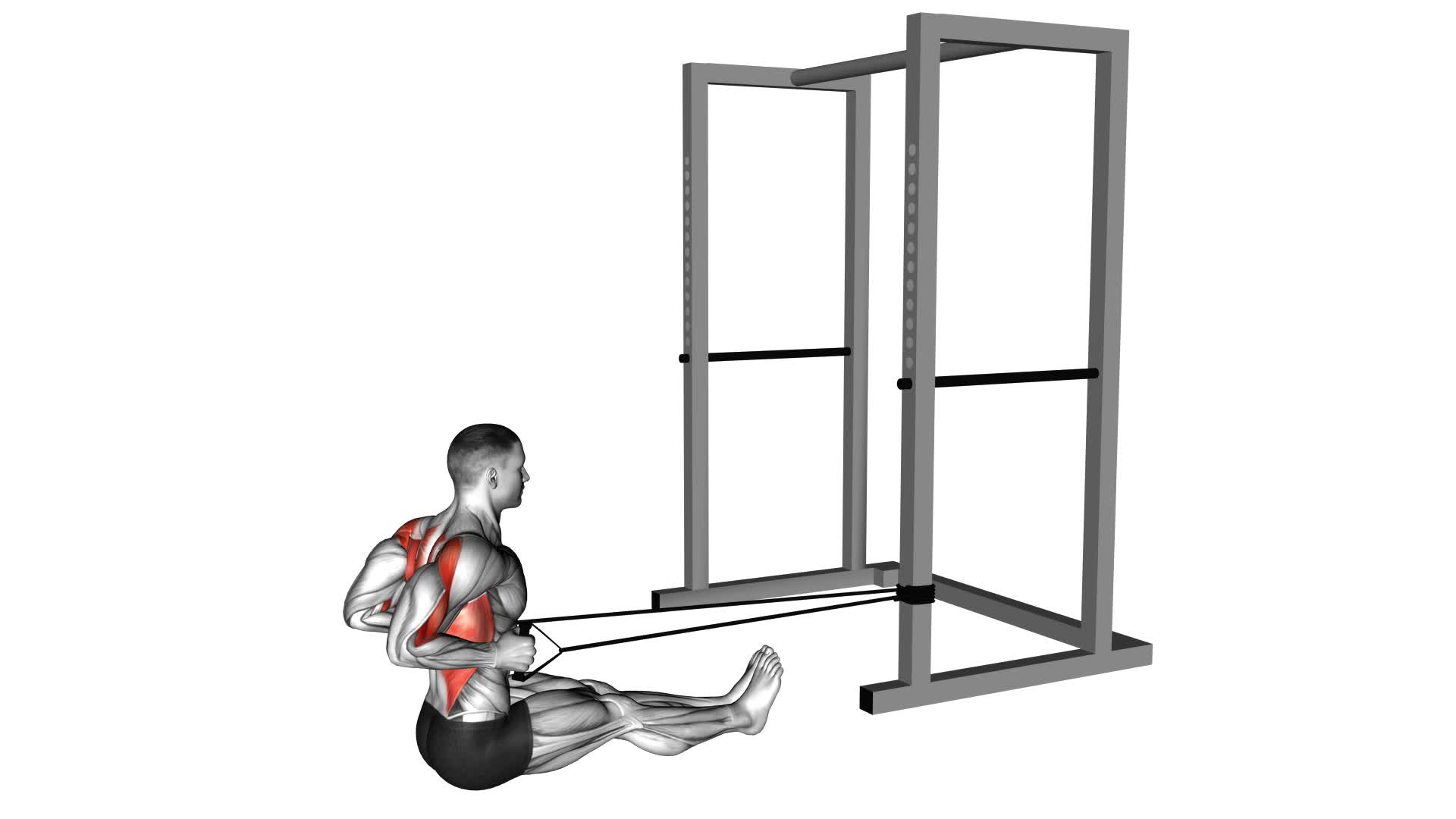 Band Seated Row (Male) - Video Exercise Guide & Tips