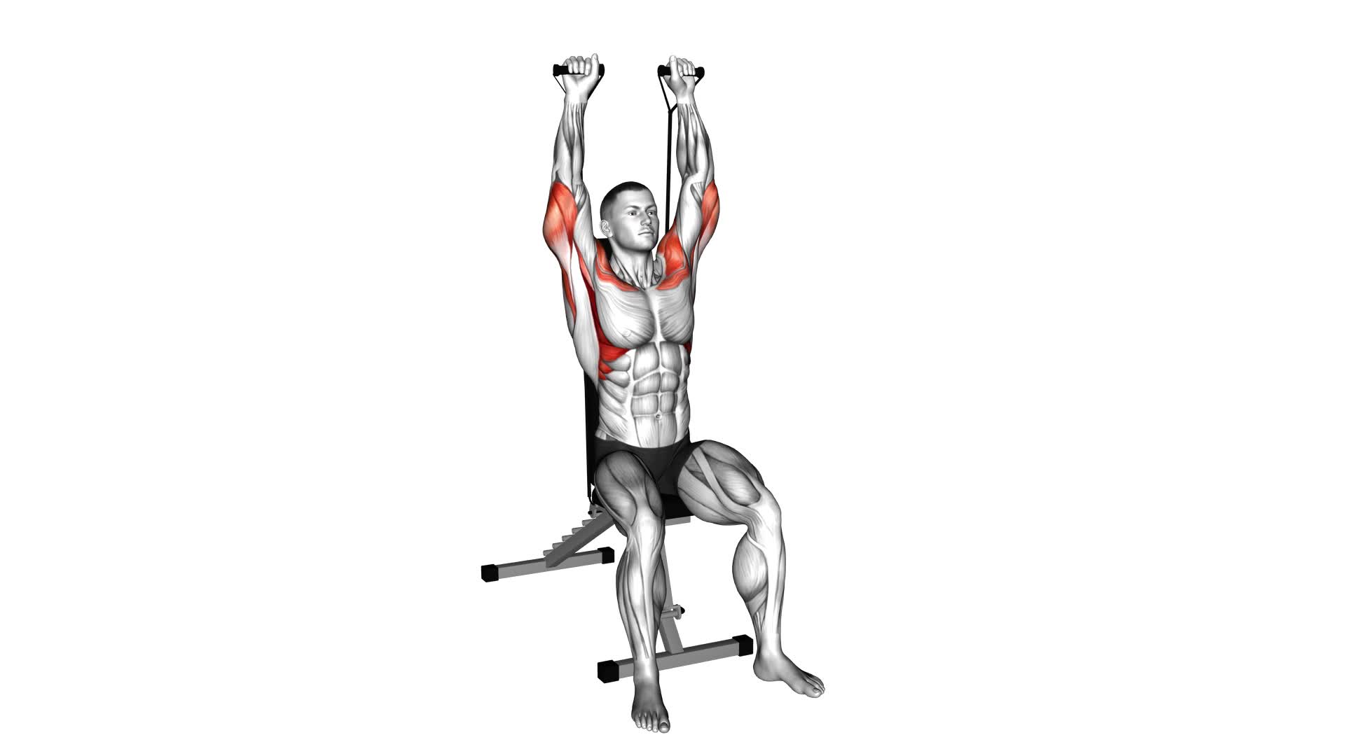 Band Seated Shoulder Press - Video Exercise Guide & Tips