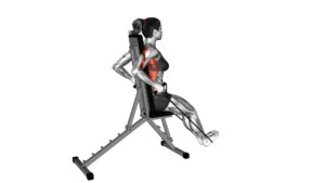 Band Seated Straight Back Row (female) - Video Exercise Guide & Tips