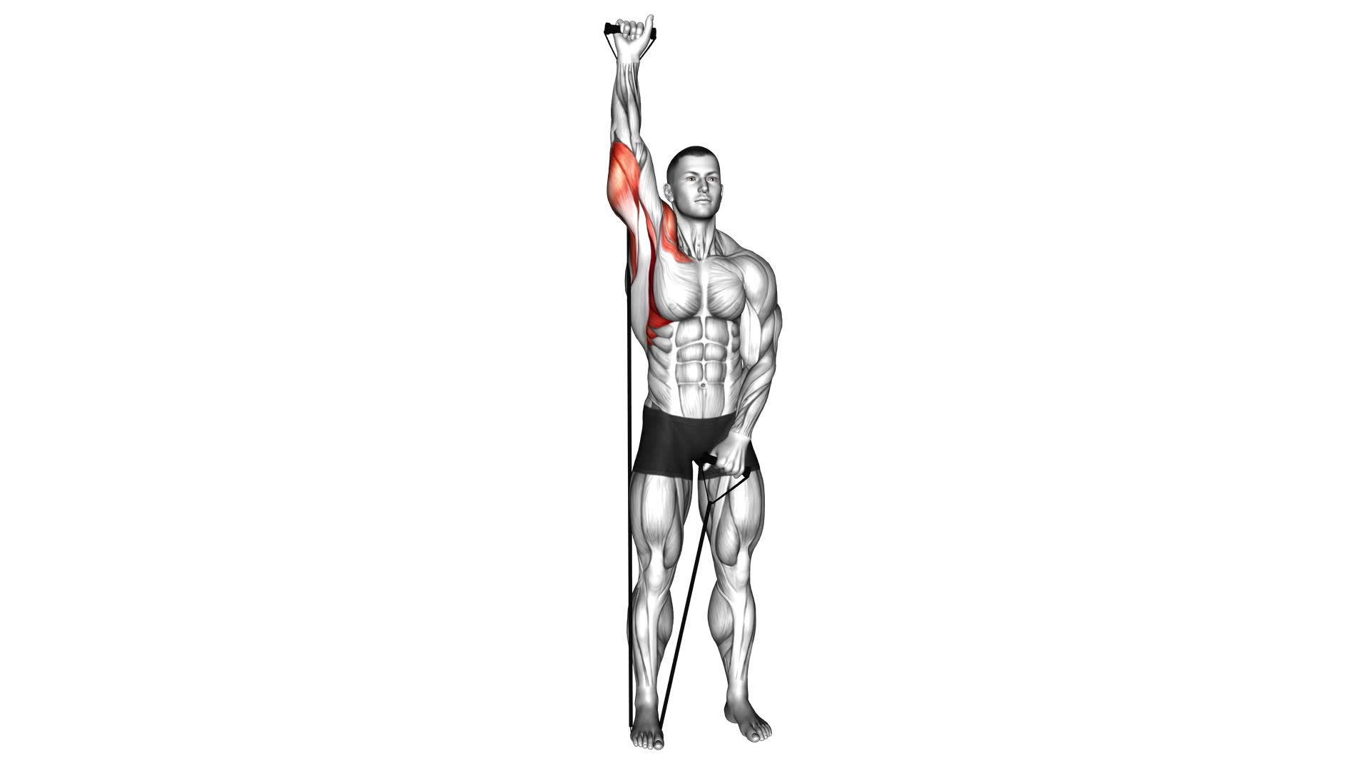 Band Single Arm Shoulder Press - Video Exercise Guide & Tips