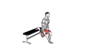 Band Single Leg Split Squat - Video Exercise Guide & Tips