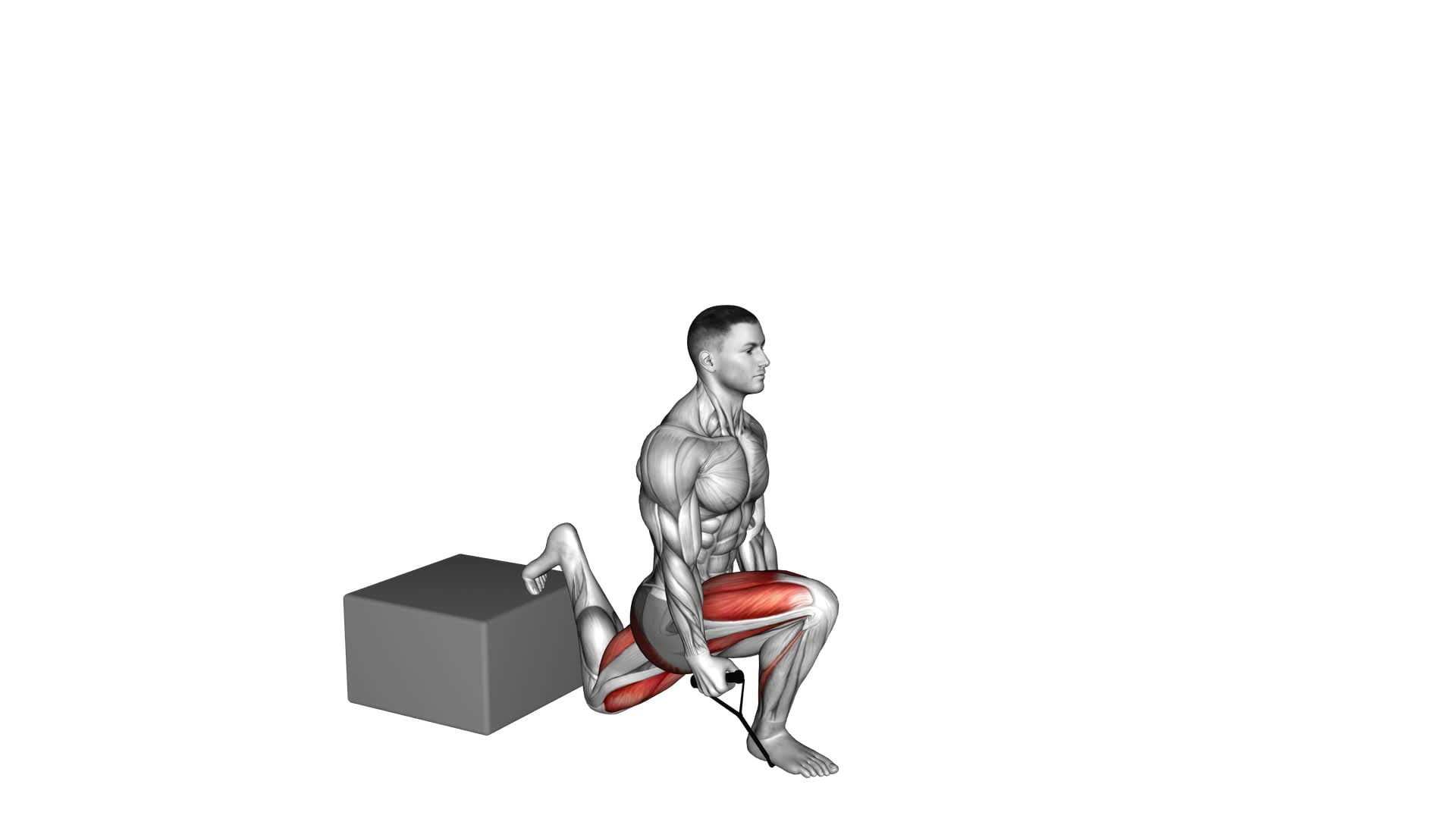 Band Single Leg Split Squat With Low Box - Video Exercise Guide & Tips