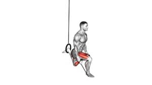 Band Single Leg Split Squat With the Ring - Video Exercise Guide & Tips