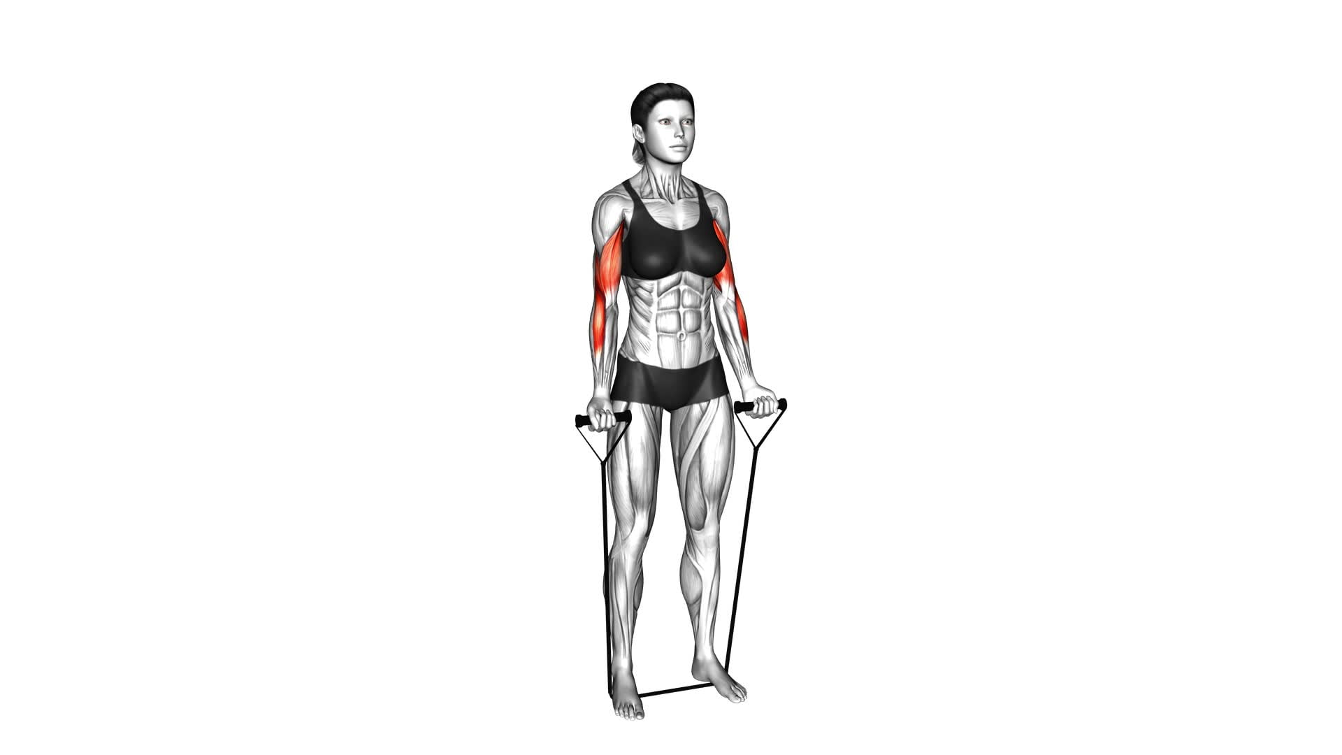 Band Standing Alternate Biceps Curl (female) - Video Exercise Guide & Tips
