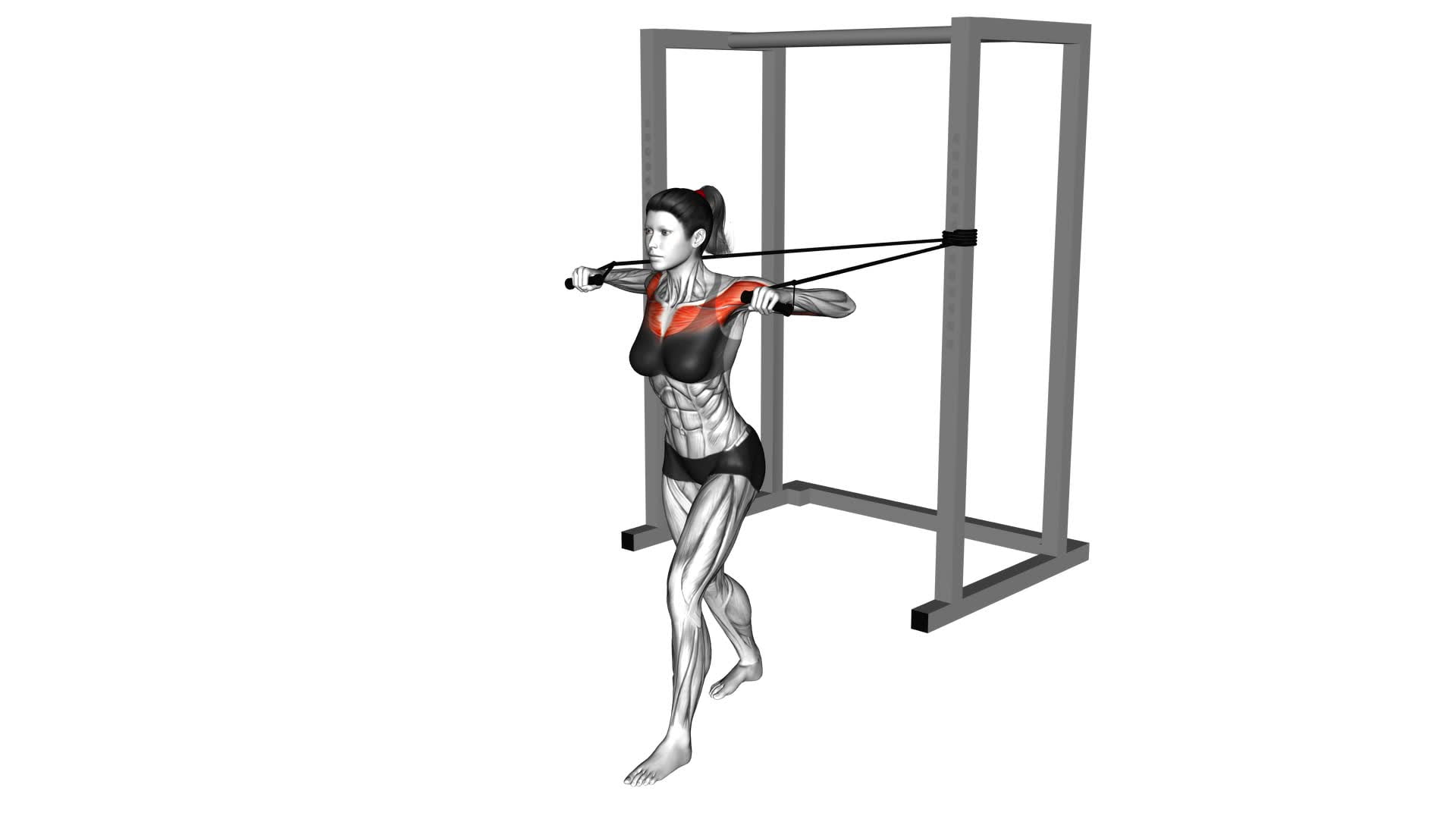 Band Standing Alternate Chest Press (female) - Video Exercise Guide & Tips