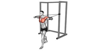 Band Standing Alternate Chest Press (male) - Video Exercise Guide & Tips