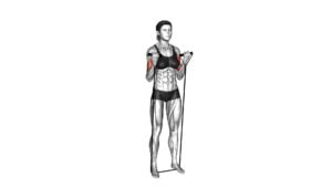 Band Standing Biceps Curl (female) - Video Exercise Guide & Tips