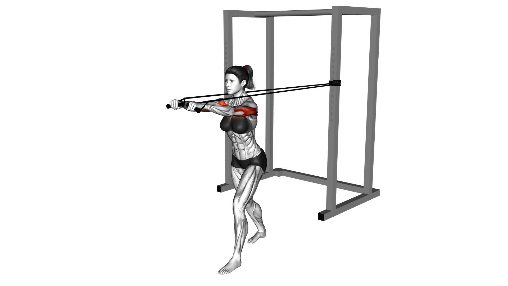 Band Standing Chest Press (female) - Video Exercise Guide & Tips