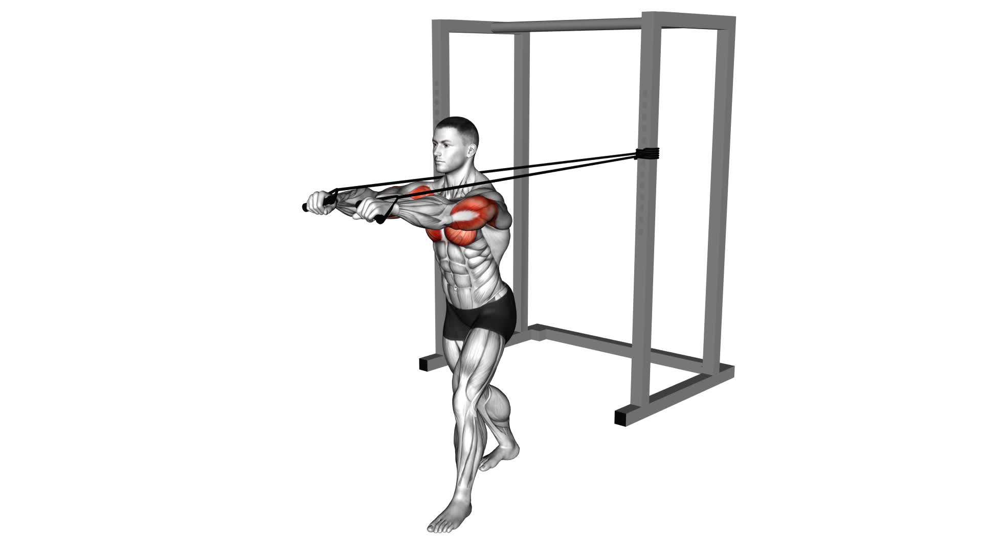 Band Standing Chest Press (male) - Video Exercise Guide & Tips