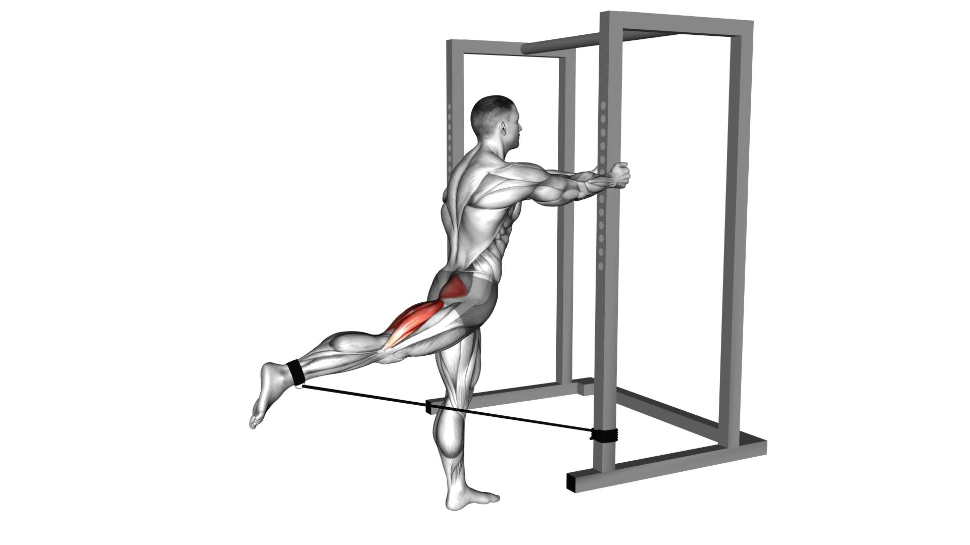 Band Standing Hip Extension (male) - Video Exercise Guide & Tips