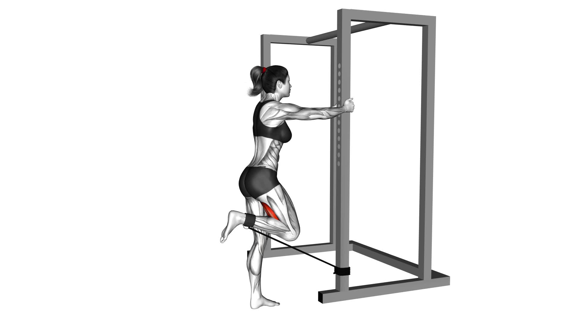 Band Standing Leg Curl (female) - Video Exercise Guide & Tips