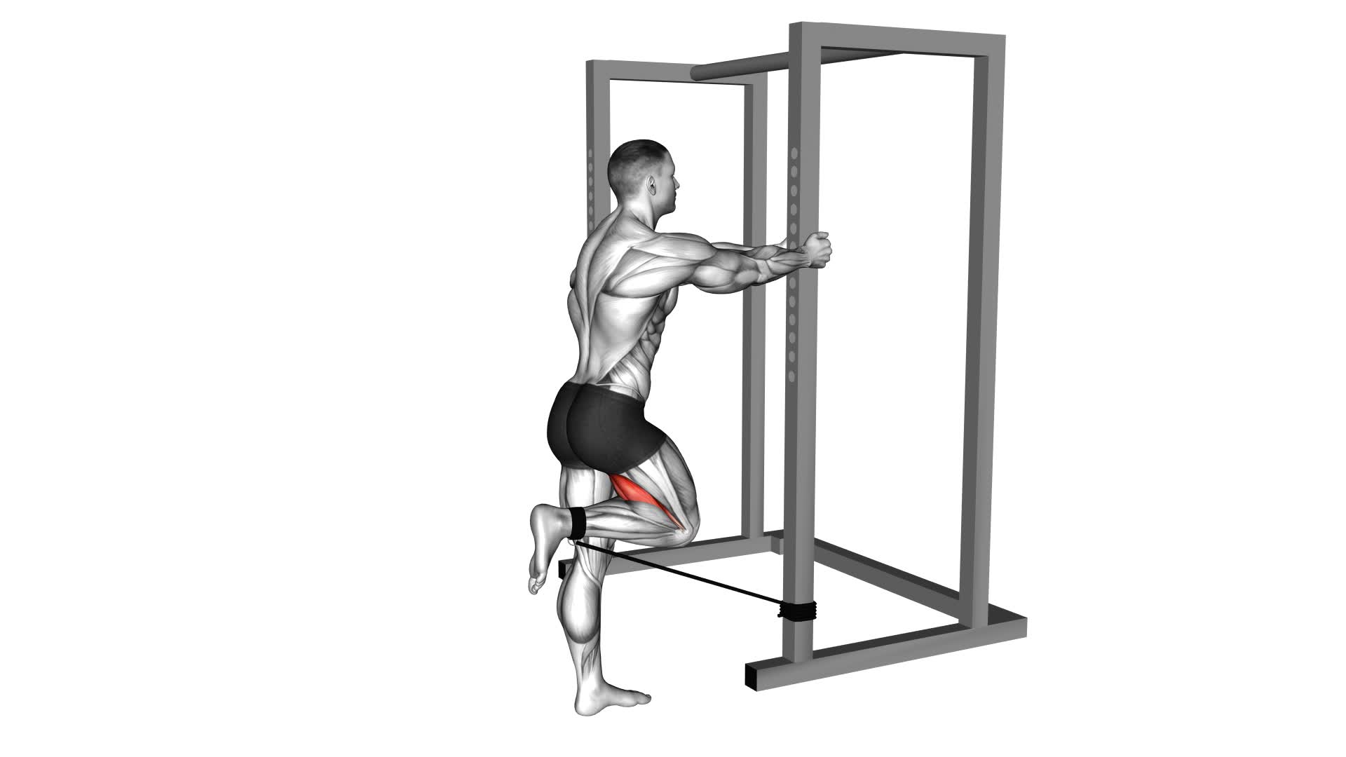 Band Standing Leg Curl (male) - Video Exercise Guide & Tips