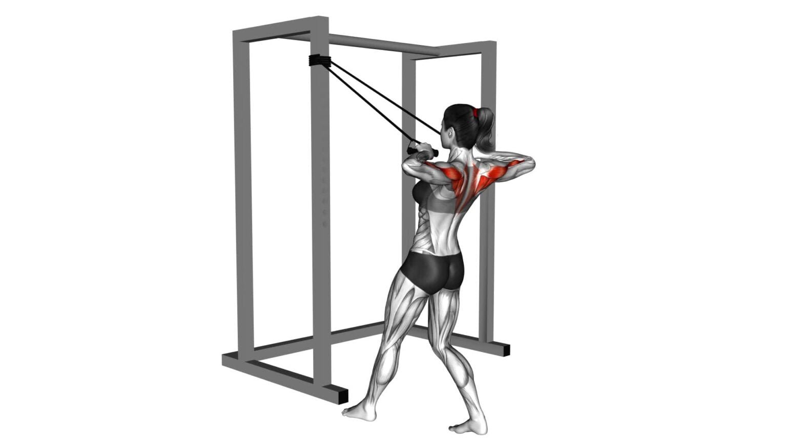 Resisted Shoulder Rows Female Band Rear Delt Row: Video Guide & Tips For Stronger Shoulders