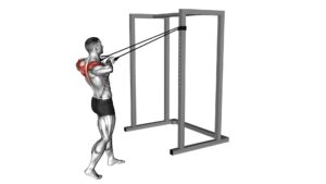 Band Standing Rear Delt Row - Video Exercise Guide & Tips