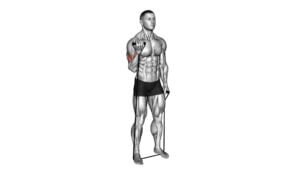 Band Standing Single Arm Biceps Curl (male) - Video Exercise Guide & Tips