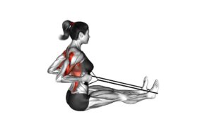 Band Straight Back Seated Row (Female) - Video Exercise Guide & Tips