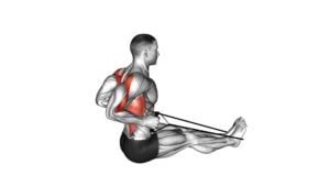 Band Straight Back Seated Row (Male) - Video Exercise Guide & Tips