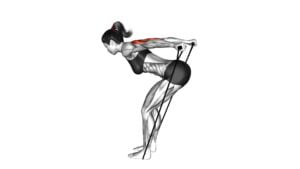 Band Triceps Kickback (female) - Video Exercise Guide & Tips