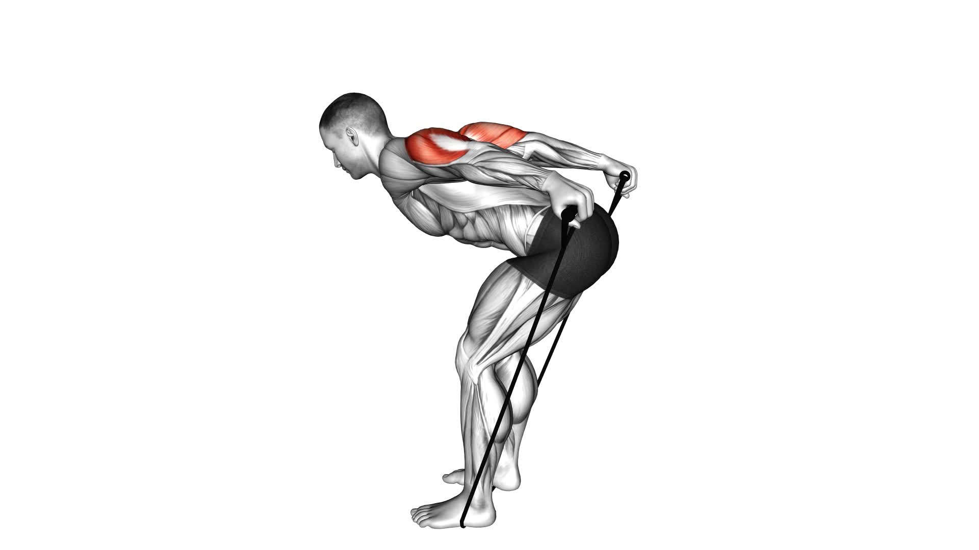 Band Triceps Kickback - Video Exercise Guide & Tips
