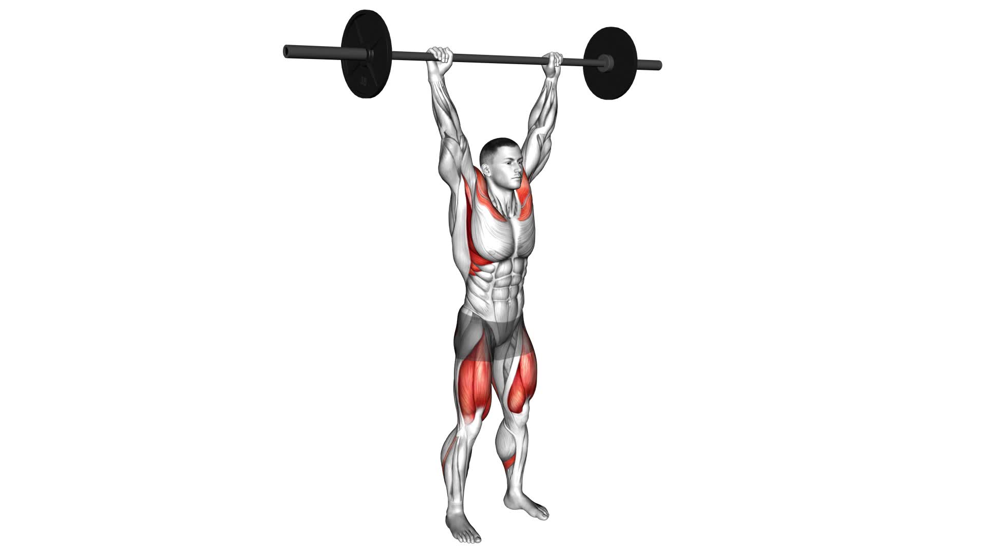 Barbell Behind the Back Push Press - Video Exercise Guide & Tips