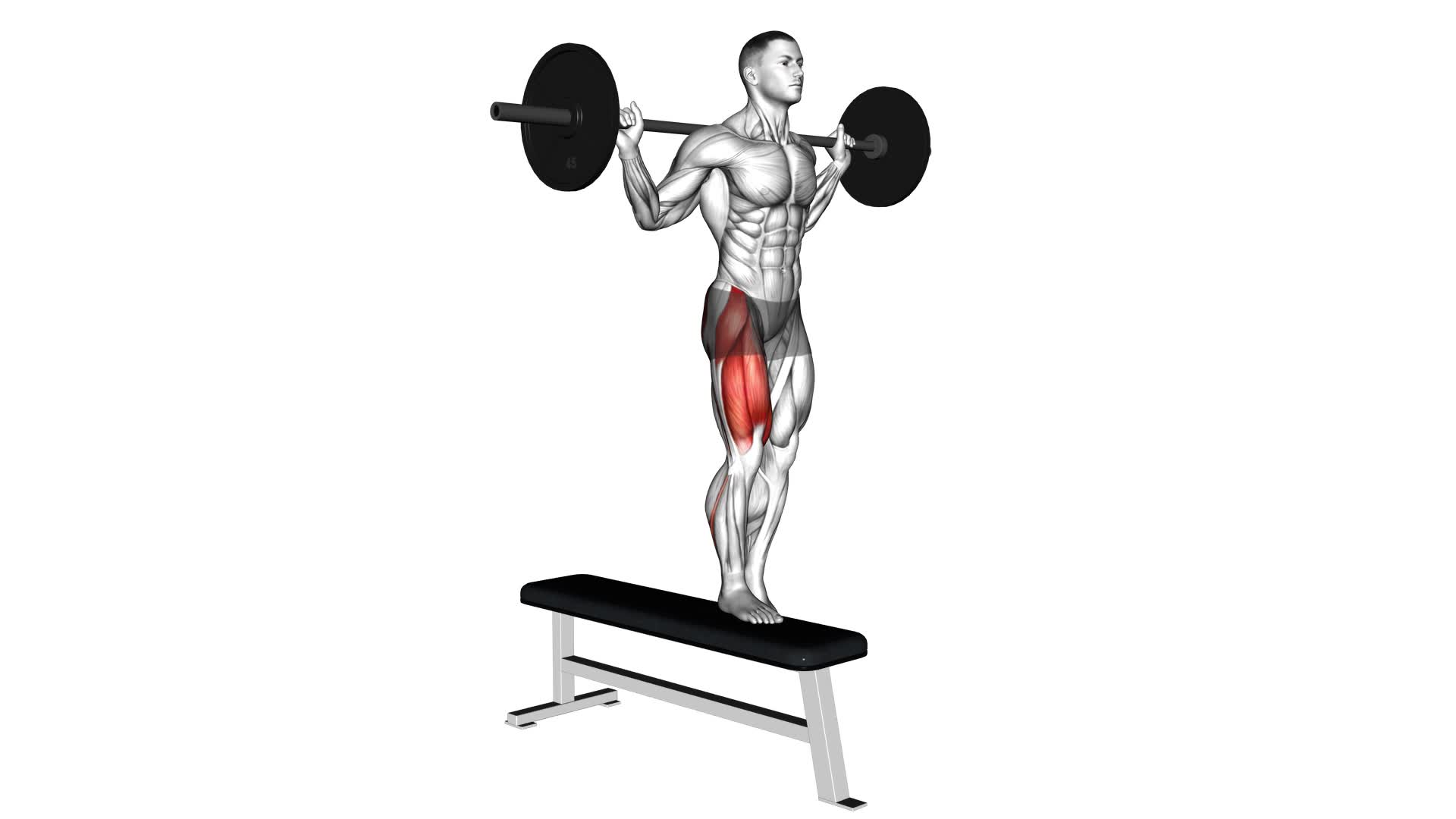 Barbell Bench Lateral Step-up (male) - Video Exercise Guide & Tips
