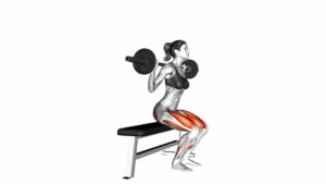 Barbell Bench Squat (female) - Video Exercise Guide & Tips