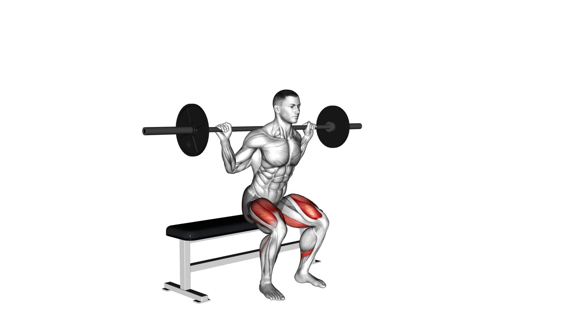 Barbell Bench Squat - Video Exercise Guide & Tips