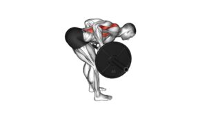 Barbell Bent Over Row - Video Exercise Guide & Tips