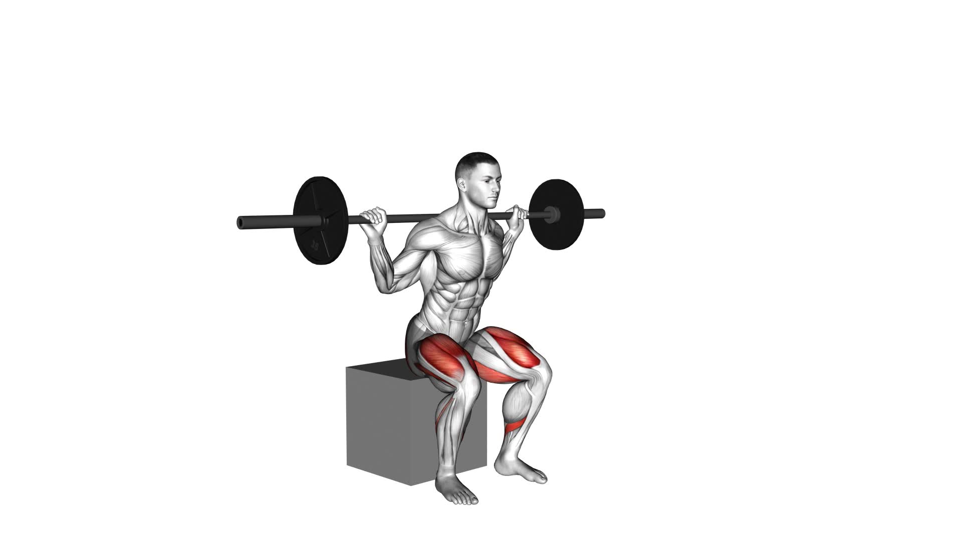 Barbell Box Squat - Video Exercise Guide & Tips