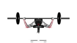 Barbell Chest Bench Press - Grip Width (WRONG RIGHT) (female) - Video Exercise Guide & Tips
