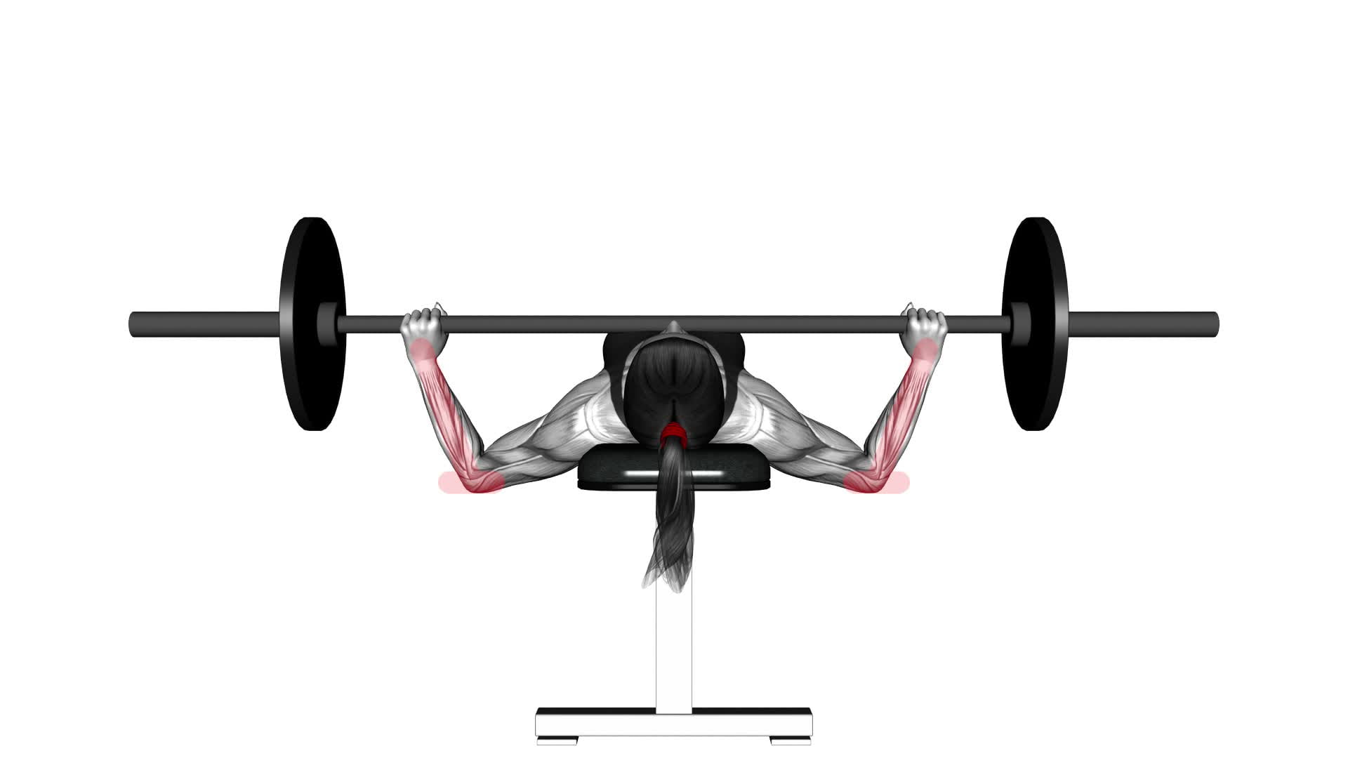 Barbell Chest Bench Press - Grip Width (WRONG RIGHT) (female) - Video Exercise Guide & Tips