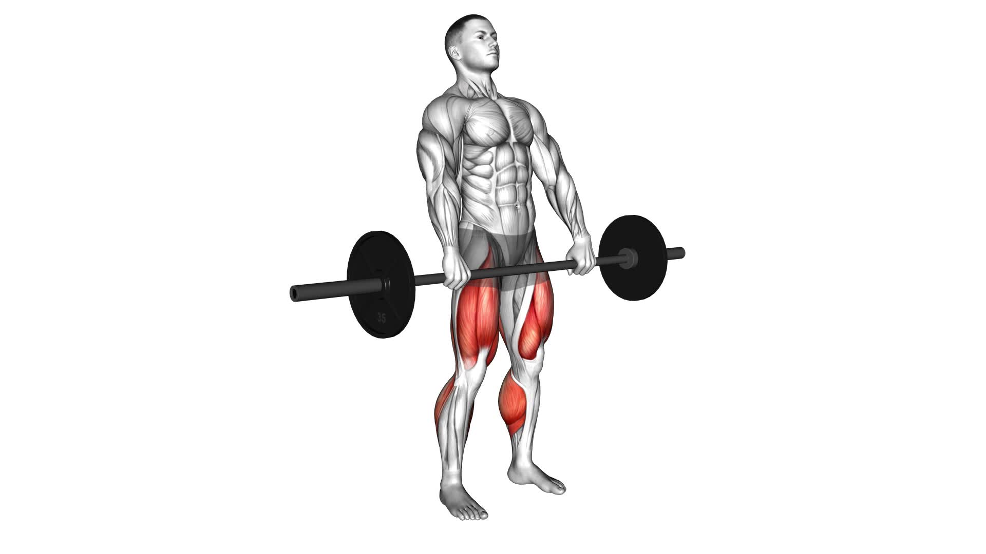 Barbell Clean Deadlift - Video Exercise Guide & Tips
