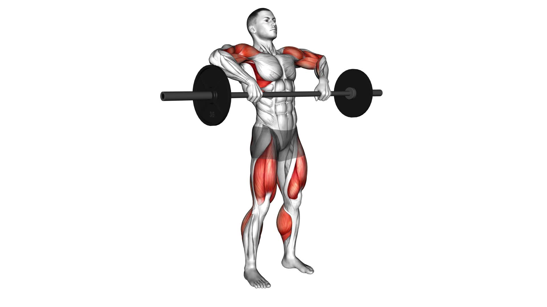 Barbell Clean Pull - Video Exercise Guide & Tips