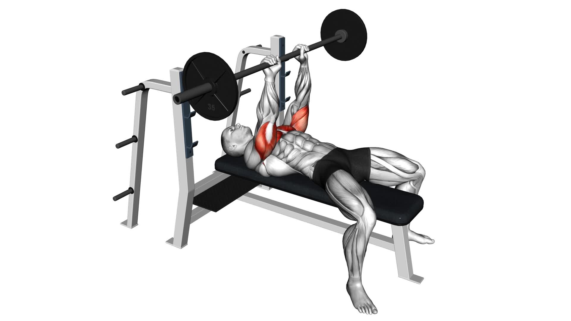 Barbell Close Grip Bench Press - Video Exercise Guide & Tips