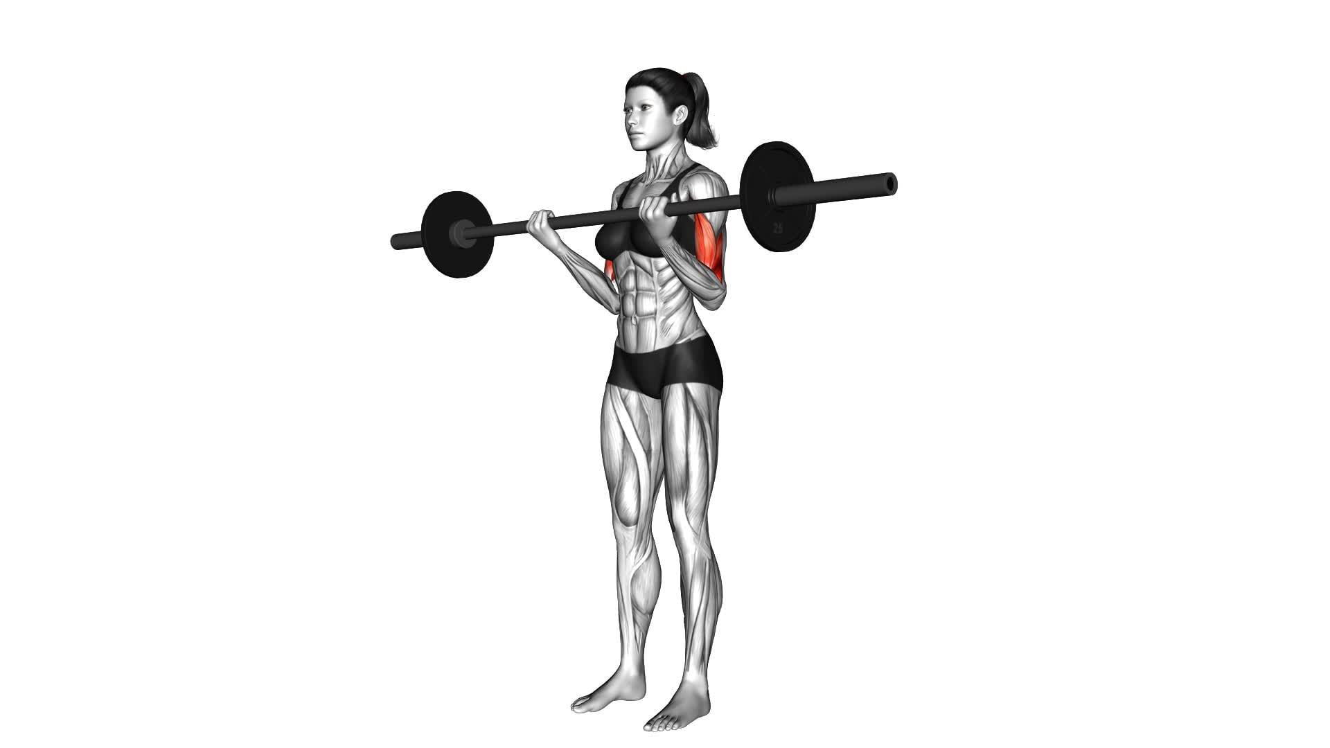 Barbell Curl (female) - Video Exercise Guide & Tips