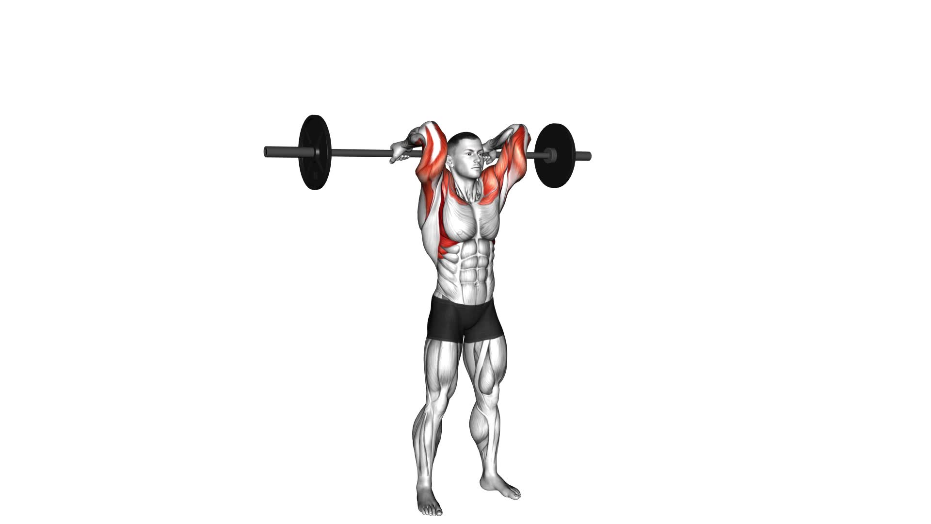 Barbell Curl Press Extension (male) - Video Exercise Guide & Tips
