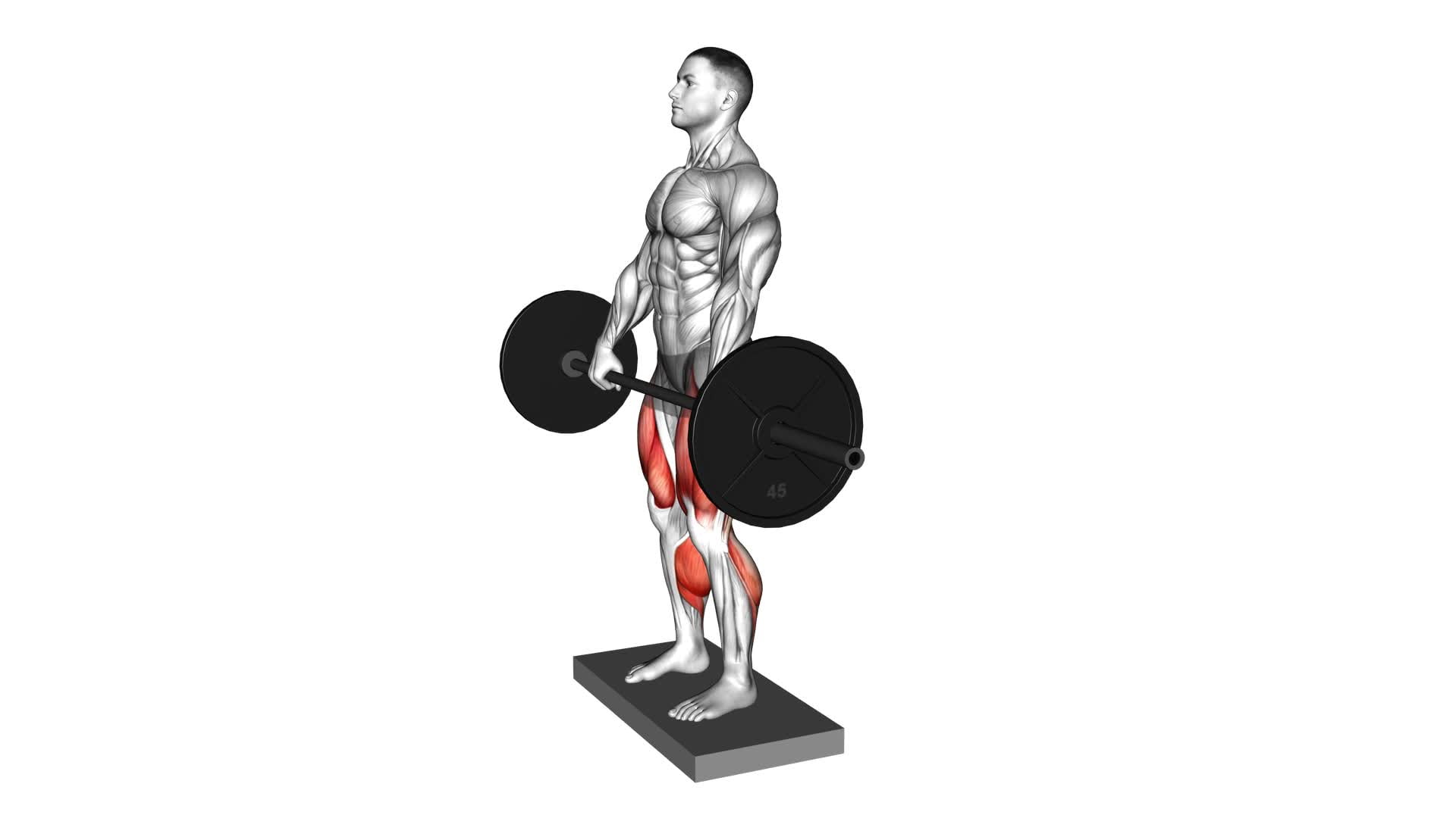 Barbell Deadlift From Deficit - Video Exercise Guide & Tips