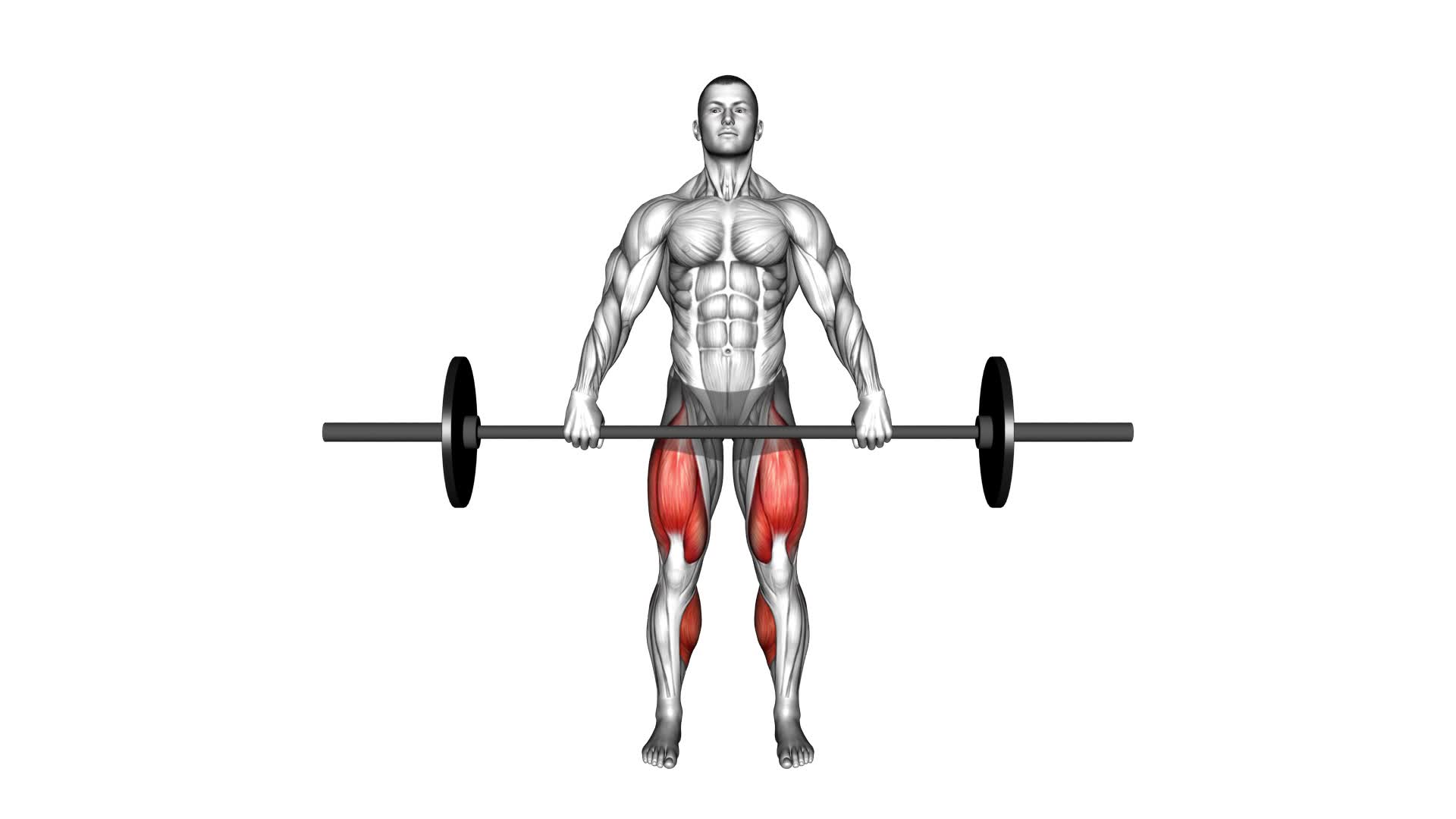 Barbell Deadlift (front POV) (male) - Video Exercise Guide & Tips