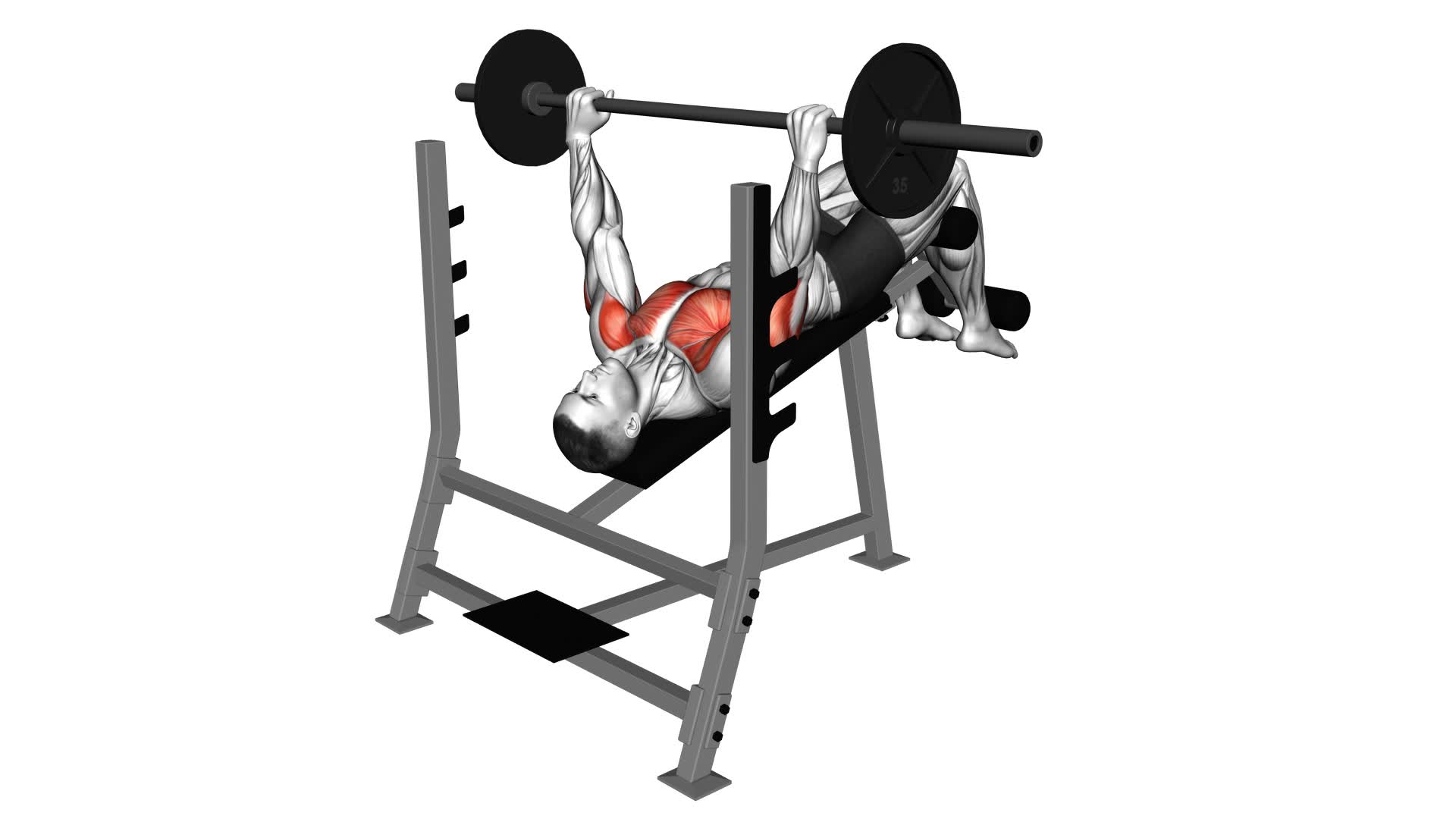Barbell Decline Bench Press - Video Exercise Guide & Tips