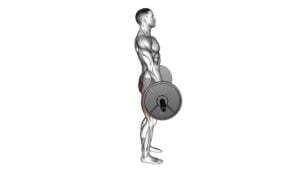 Barbell Dimel Deadlift (male) - Video Exercise Guide & Tips